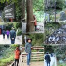 울릉도, 독도 여행 1 이미지