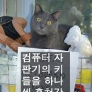 센치 Daum카페