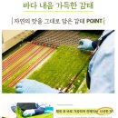 서산동부전통시장갯마을협동조합 이미지
