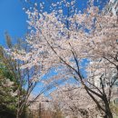 일산도서관 동아리방 | 📚 마을을 품은 열린 책방, '고양시립 일산도서관' 방문기