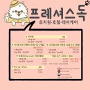 프레셔스독 이미지