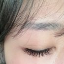 11545-11-99-21 | 신논현속눈썹 잘하는곳 유지력 좋은 화인뷰티 속눈썹 연장받은 솔직후기