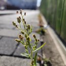 커피긱스(COFFEE GEEKS) 이미지