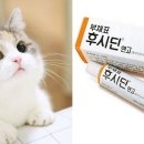 수약품 이미지