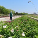 씨사이드파크 이미지