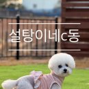 설탕 | [인천] 강화도 애견 동반 독채펜션 설탕이네 c동 후기