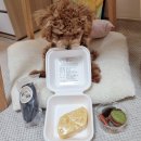 꾸메까까 | 강아지건조간식 :: 꾸메까까 치즈케이크 너무 귀여버🧀 / 강아지간식 애견간식 강아지생일 강아지파티