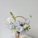 온화앤유 이미지