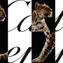 팬더랜드 이미지