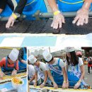 신호김밥