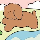 아이유동물메디컬센터 이미지