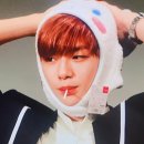 the k in kang daniel stands for kcute 이미지