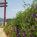 안곡서원 이미지