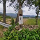 장백산로 이미지