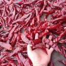 영천고추방앗간 이미지