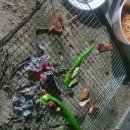 도림사 오토캠핑장 | 곡성도림사오토캠핑장 6인 카라반 이용 후기