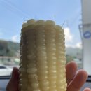 운악마트