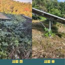 가연 태양광발전소 이미지