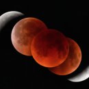 시목회관앞 이미지