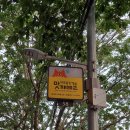 마포, 걷고싶은길 3코스 이미지