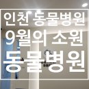 9월의 소원 동물병원 네이버블로그