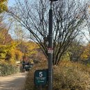 중랑캠핑숲공원 | 중랑가족캠핑장(중랑캠핑숲) 당일치기 캠핑 이용 후기(5-3 사이트 이용후기), 1박 하러 또 오고 싶은 곳