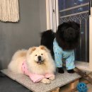 득구네