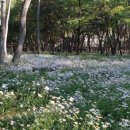 하남읍 문화체육회관 이미지