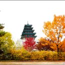 옛길다방