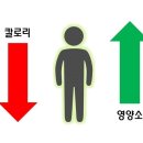 우리동네다이어트
