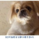 월 이미지