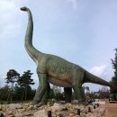 수피아동물병원 | 경북 칠곡 가산 수피아 공룡 찾아갔어요