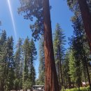 CS h&L 행정사사무소 이미지