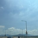 주)두물머리 | 양평두물머리 부모님과 여름 당일치기여행후기(세미원/연핫도그)