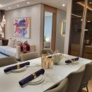 금성백조예미지 이미지