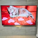 씨유 영종푸르지오자이점 | 영종센트럴푸르지오자이 무타공벽걸이TV 설치 비용,시공과정, 실제사진 총 정리!