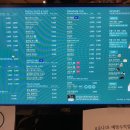 도채가비