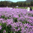 보라노래방 연합뉴스