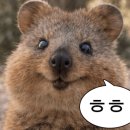 엘키즈의원 네이버블로그