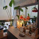 엔돌핀PC | 스와디N스파 김해 알포유 에너지테라피 에스테틱