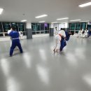 탄방유도관 이미지