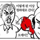 도키메이테