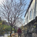 태흥2리체육공원 이미지