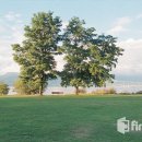 검정고시(중등) 이미지