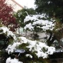 솜세상