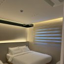 258 | 경주 애견풀빌라 포레스트258🌿 내돈내산 후기