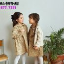 토토헤로스충북 이미지
