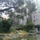 현대건설아파트경로당 이미지