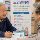 노인지원사업단 | 2026년 노인일자리 종류와 신청 자격, 현실적인 장단점 솔직 후기