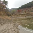 양촌소류지 이미지